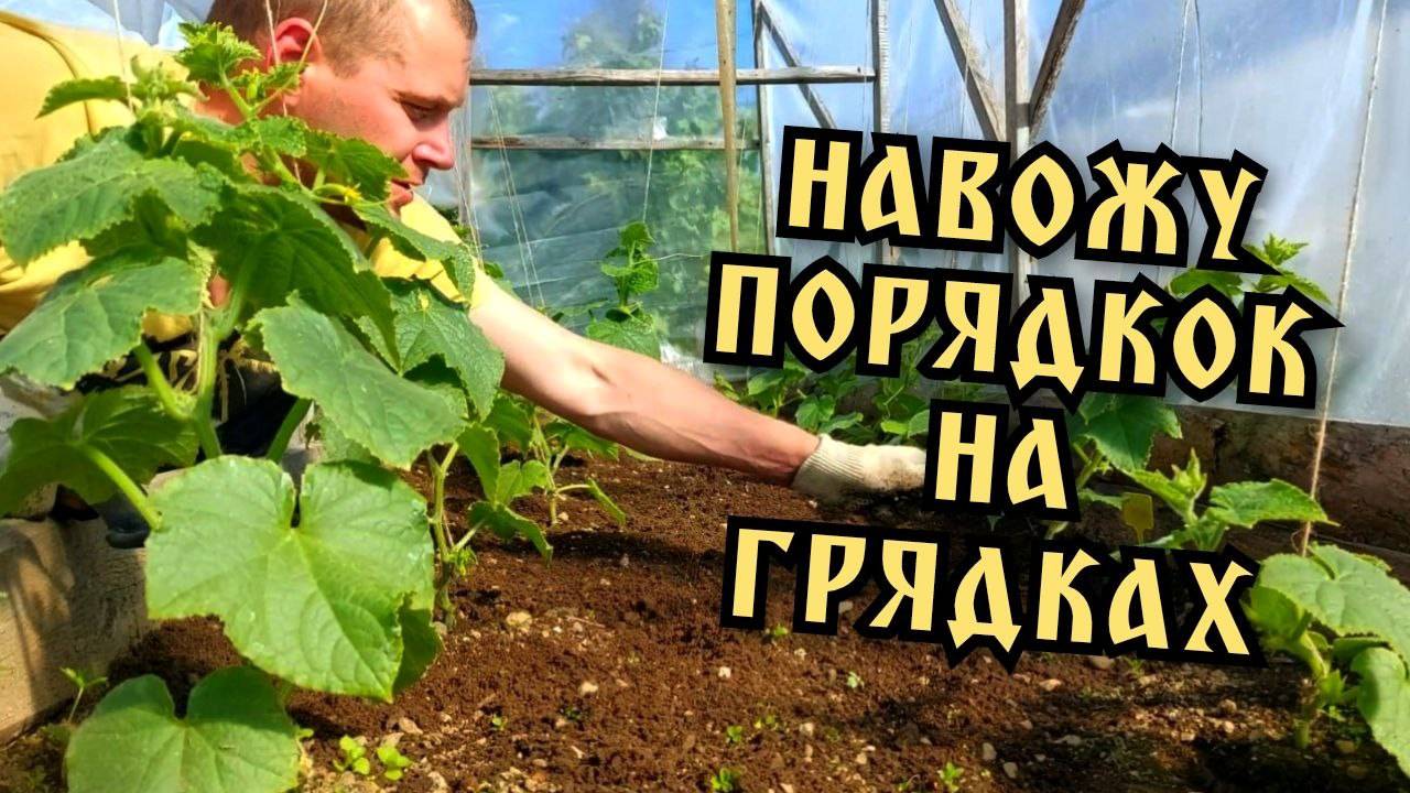 Дачные хлопоты. Порядок на грядках. Покупки.
