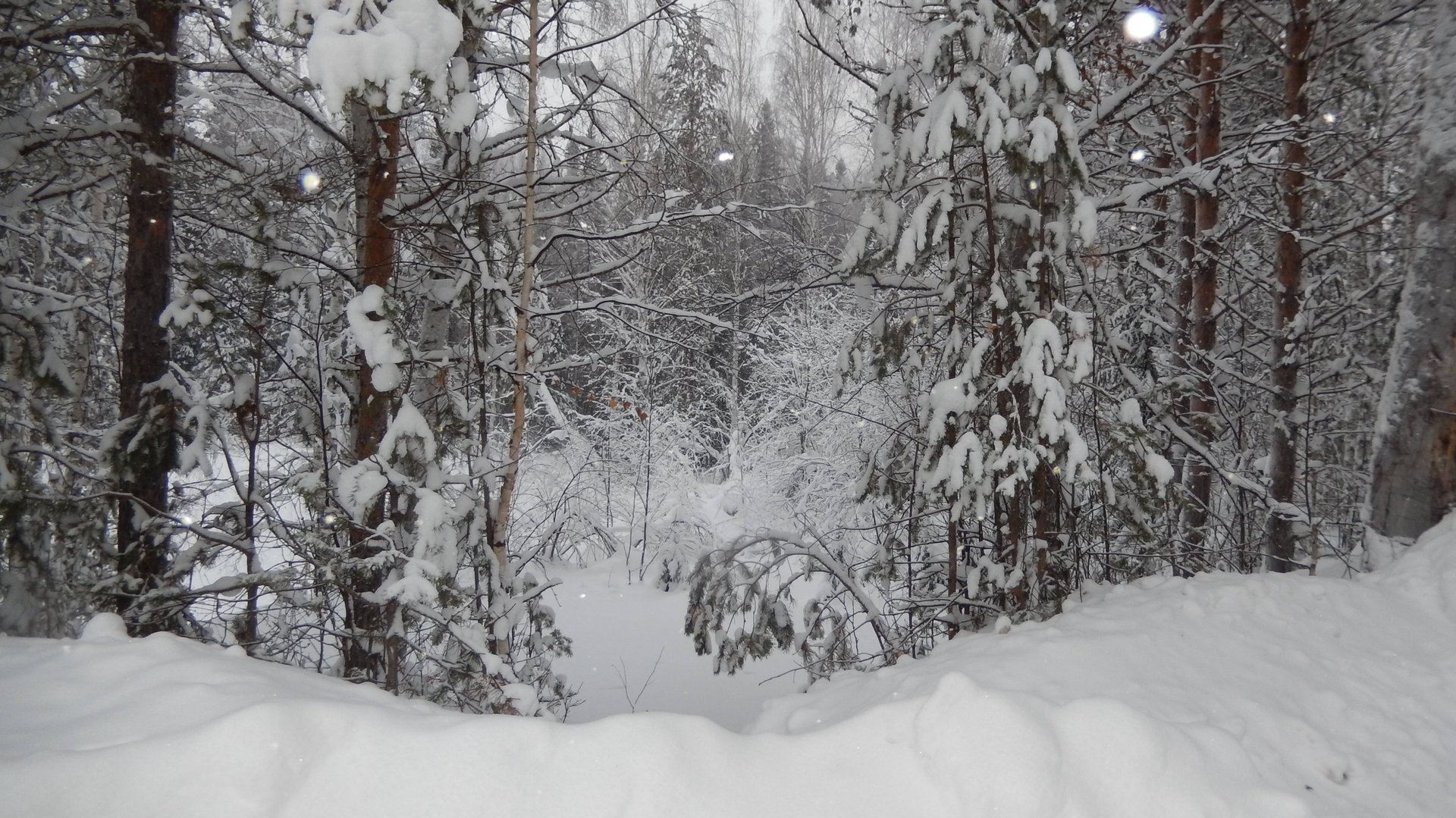 Посмотрите обязательно, вы такого еще не видели. Народу на Крещение у Проруби -10 сегодня. Западная