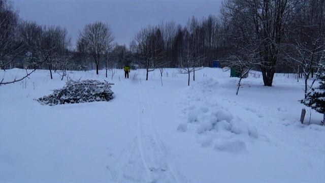 Выживаю в Псковской Деревне - Февраль 2024 - Часть 4