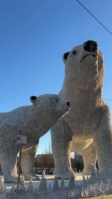 Семья белых медведей снова поселилась в Москве