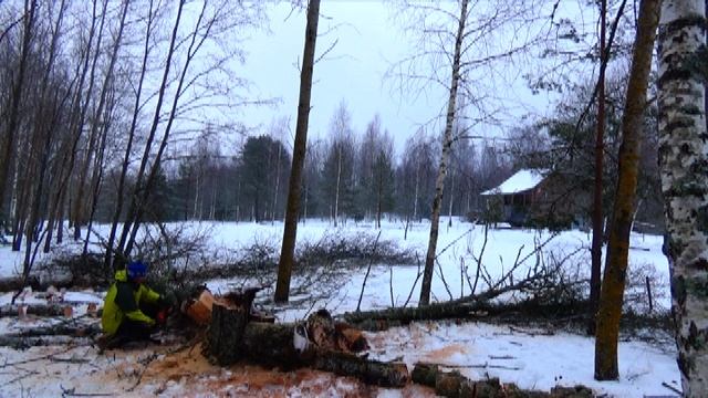 Выживаю в Псковской Деревне - Февраль 2024 - Часть 3