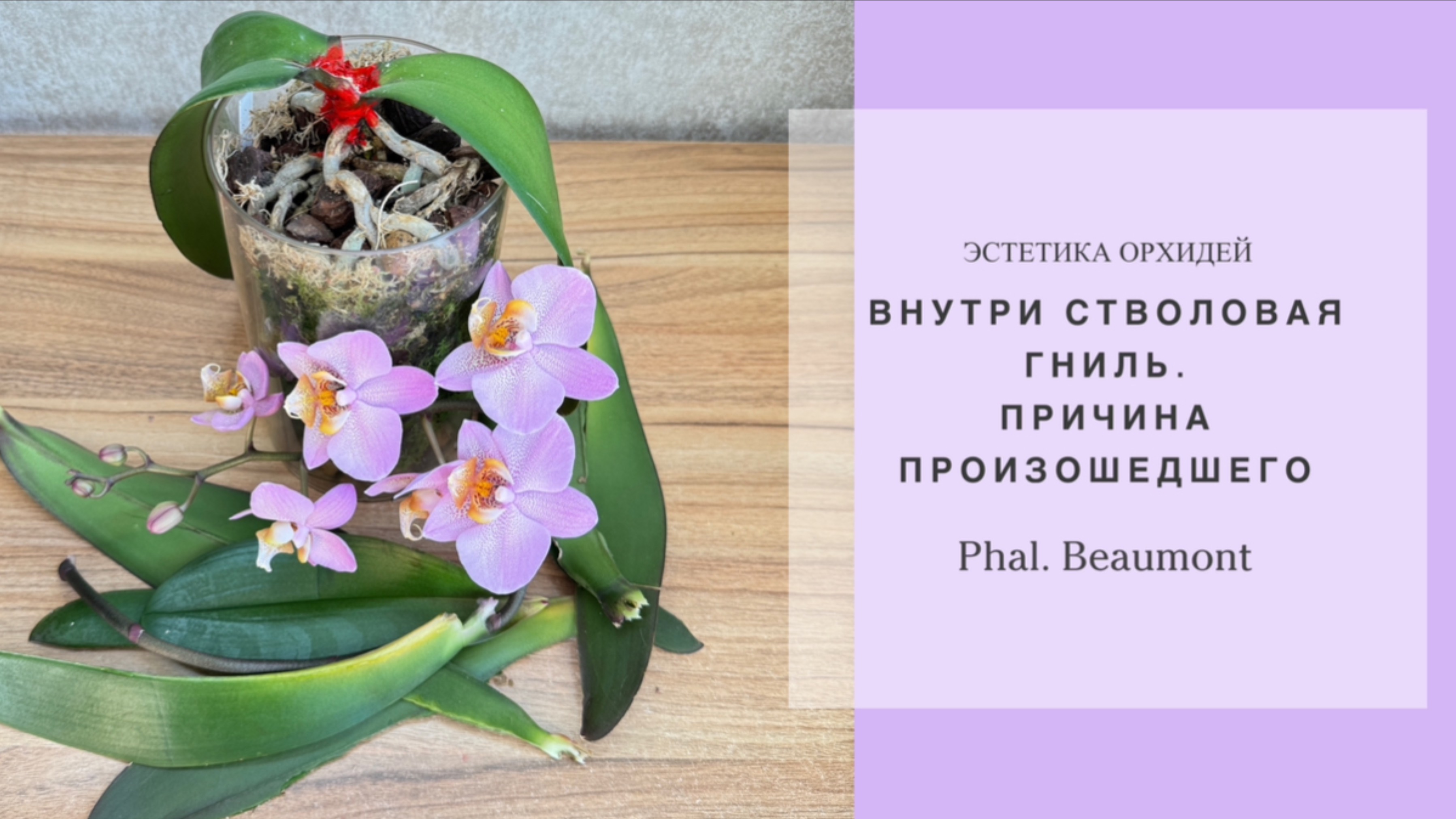 Важность вентиляции воздуха‼️🌬️при высокой влажности и теплом воздухе.