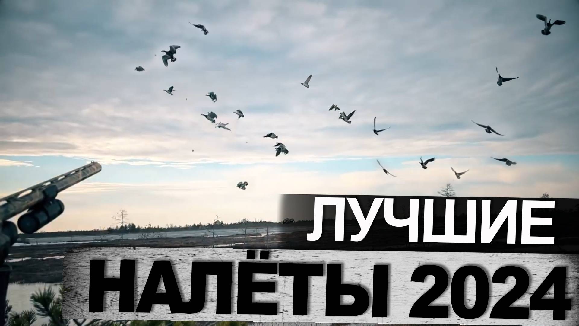 Лучшие налёты 2024