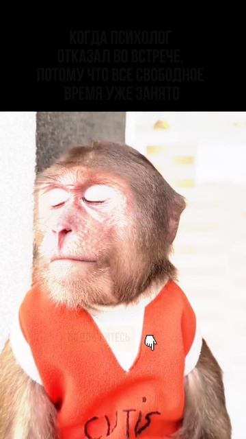 Узнали себя? Подписывайтесь🌸 #психология #уверенностьвсебе #саморазвитие #самооценка #терапия