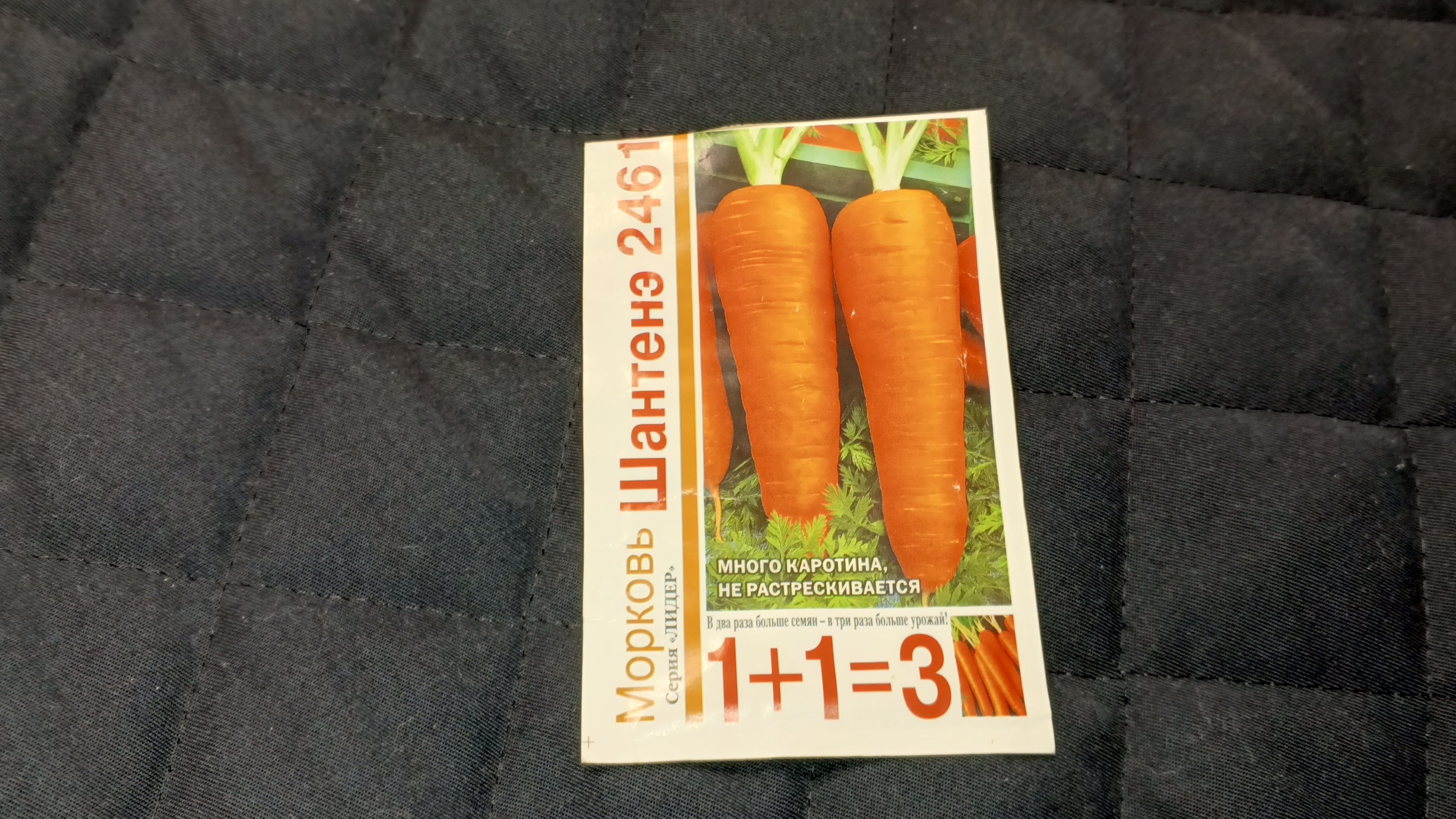 Посадка моркови 22 января 2025г.