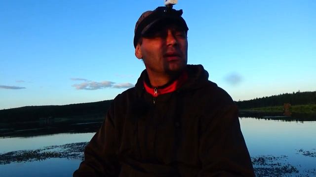 _Надубасил окуней, удочка в дугу это кайф. Лесной пруд порадовал рыбкой. .