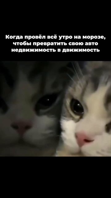 Зарядное устройство для аккумулятора: WB ~ 259028438;  OZON ~ 1679977724; Я.Маркете ~ 5413765510