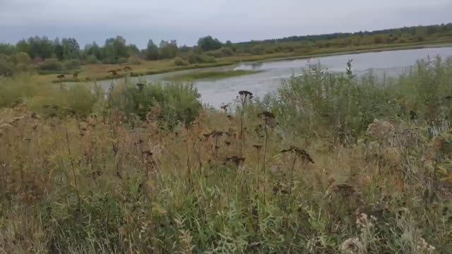 Осторожная рыбка СОРОГА. Клëвая рыбалка с Ниной на 200.