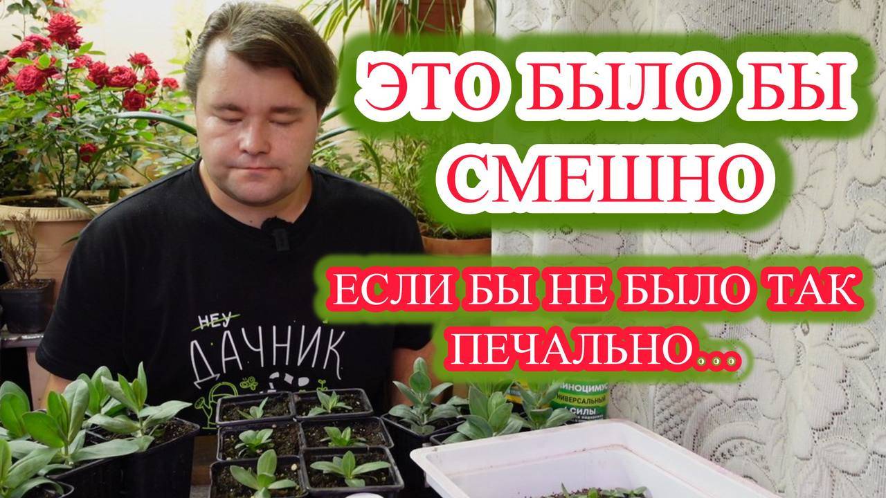 ЭУСТОМА - пересадка из торфяных таблеток | тестирование удобрений | ГОРМОНЫ РОСТА и их опасность