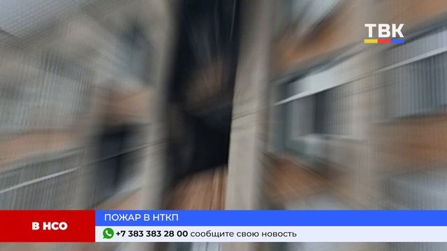 Программа "Дайджест" 24-01-25