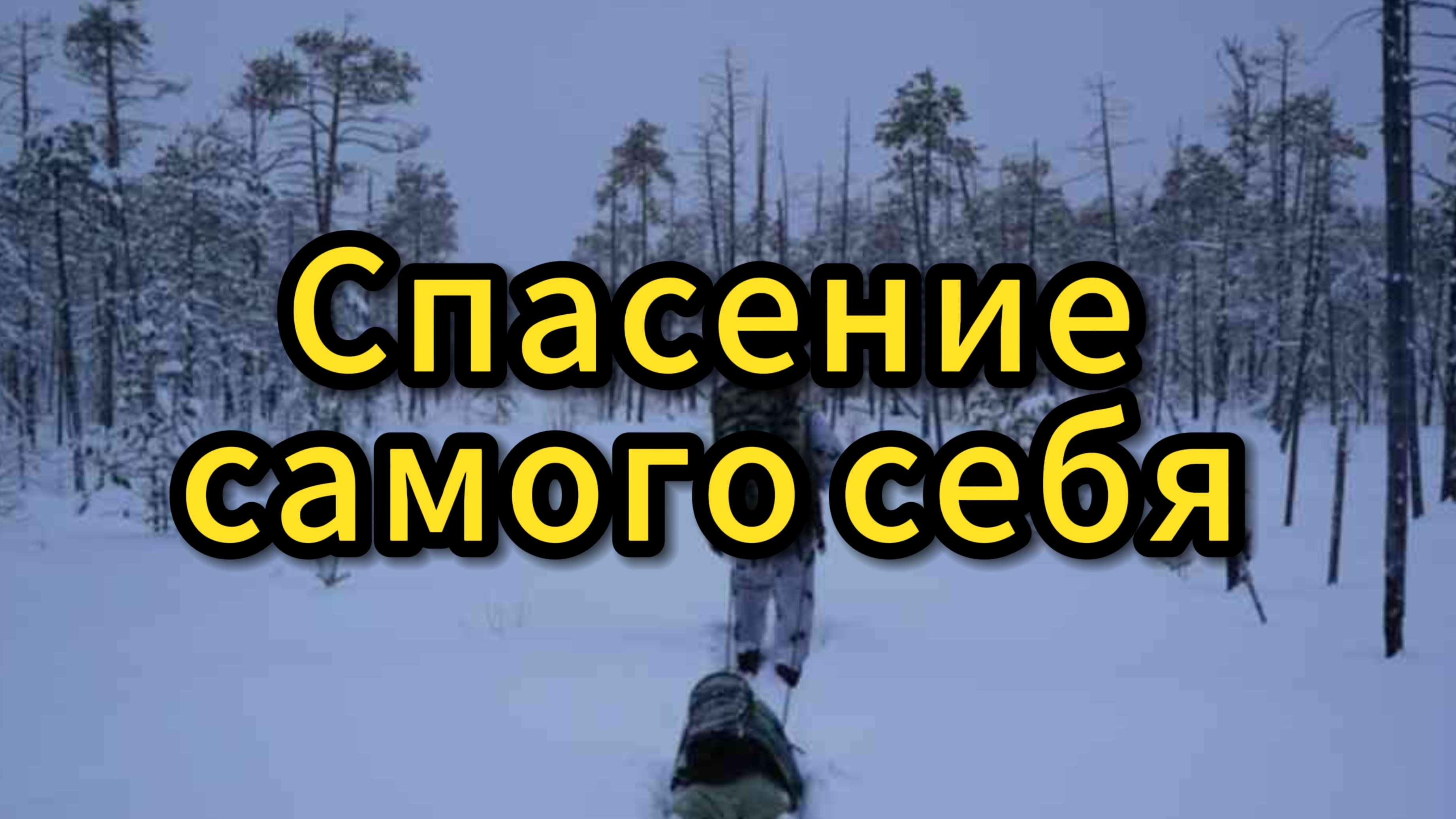 Охота на волков