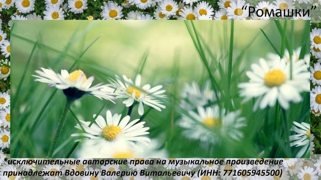 Ромашки (вариация 2)