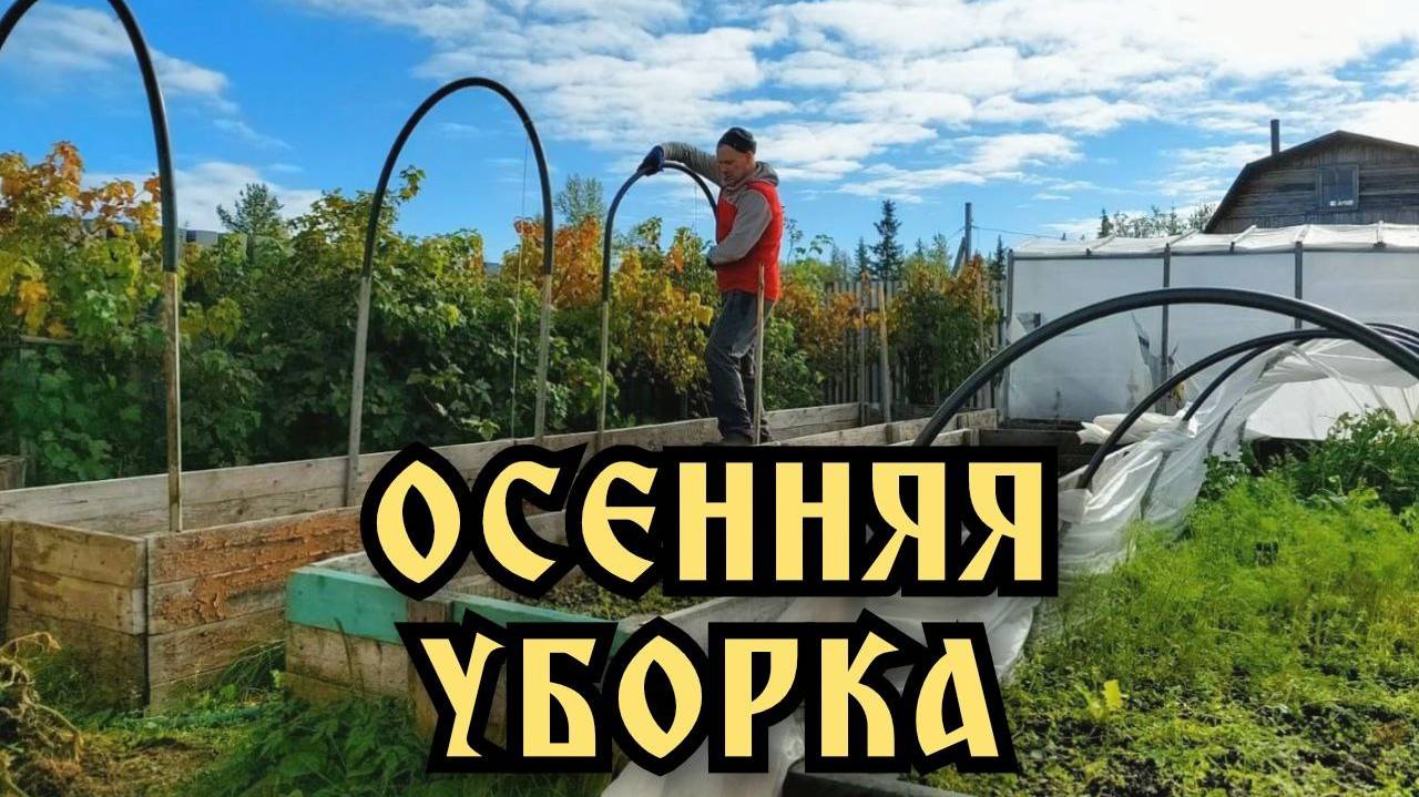 Начало уборки на даче. Зима близко.