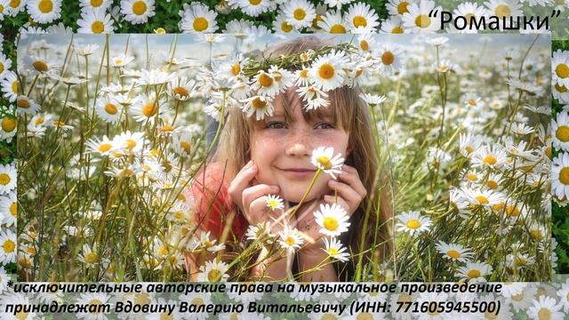 Ромашки (вариация 4)