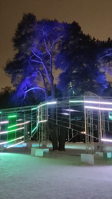 Поющее дерево в Царицыно