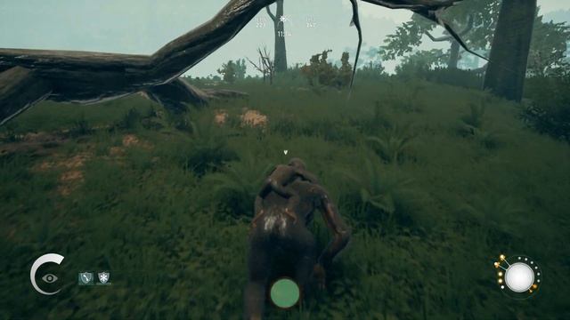 Халявные 6 Генетических Фиксаций ∎ Ancestors The Humankind Odyssey прохождение #20