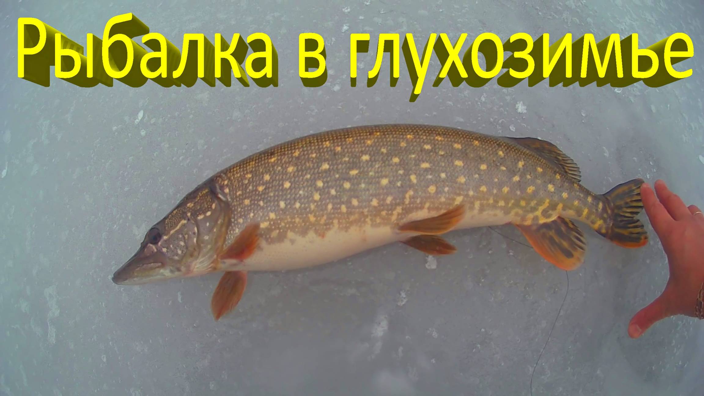 🔥 Ловля ЩУКИ и ОКУНЯ на ЖЕРЛИЦЫ и БАЛАНСИРЫ. Рыбалка в январе на Исаковском водохранилище 🔥