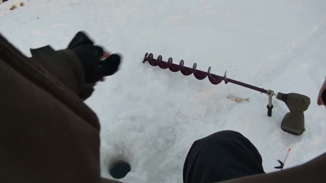 ✅Рыбалка на Сорогу и Леща , ветер АЖ с ящика сдувает😐