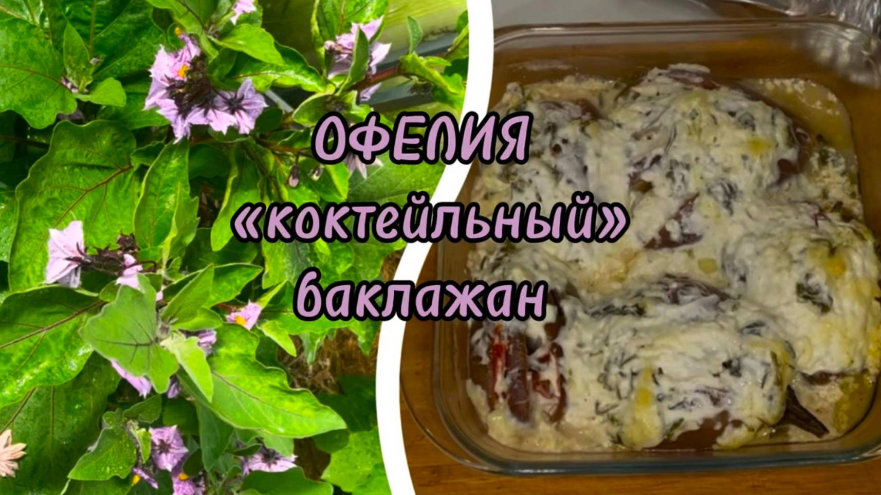 Баклажан ОФЕЛИЯ. От грядки до духовки
Постные штучки.