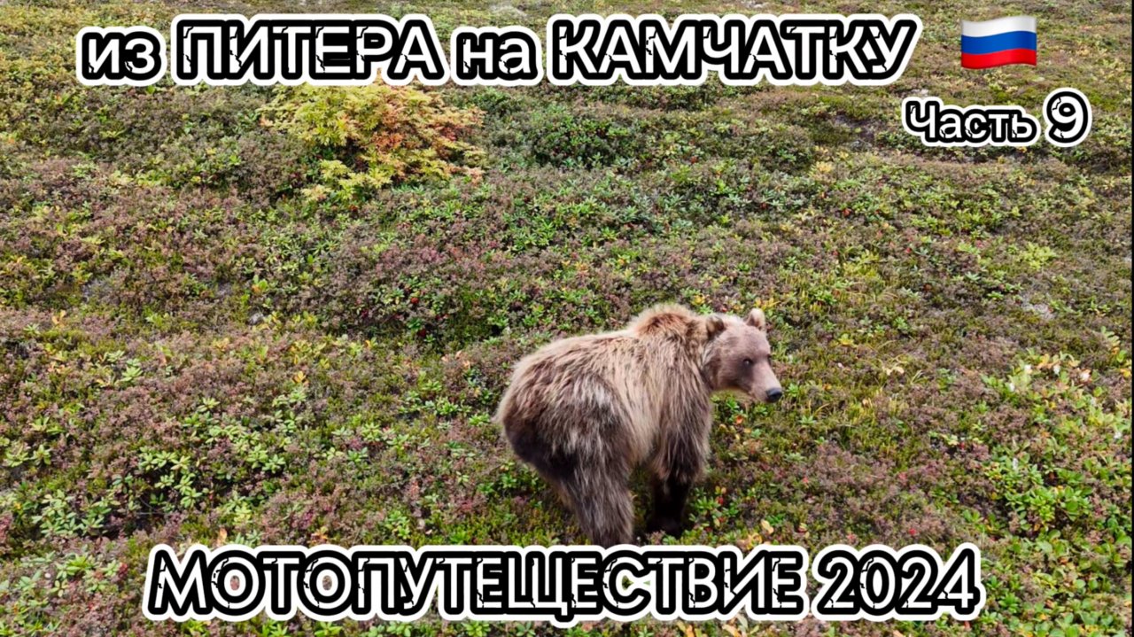 Из Питера на Камчатку через всю Россию. Мотопутешествие 2024. Часть 9