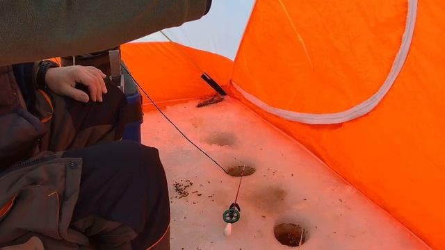 Поклёвка леща на мормыша в подводную камеру