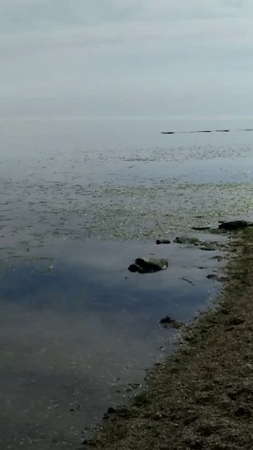 ✨ Полный штиль на море! 🌅 Такое не часто увидишь