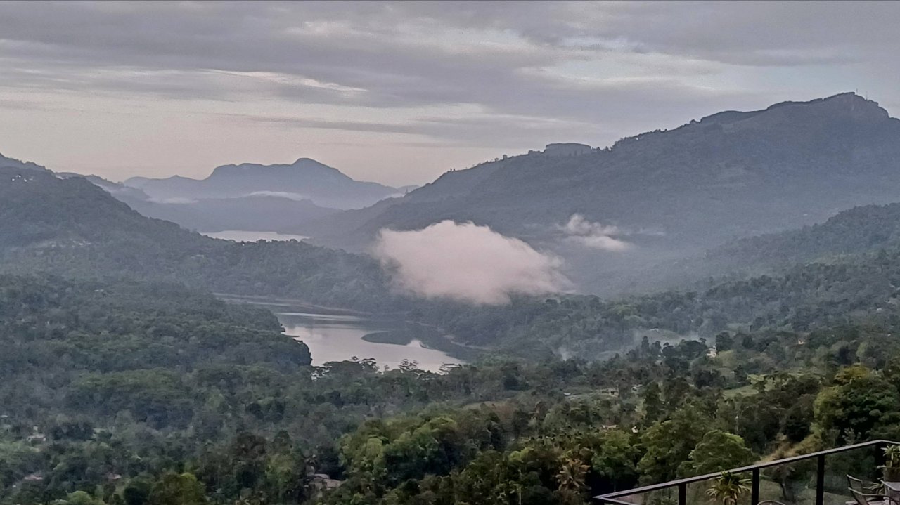 Шри-Ланка. Сигирия январь 2025