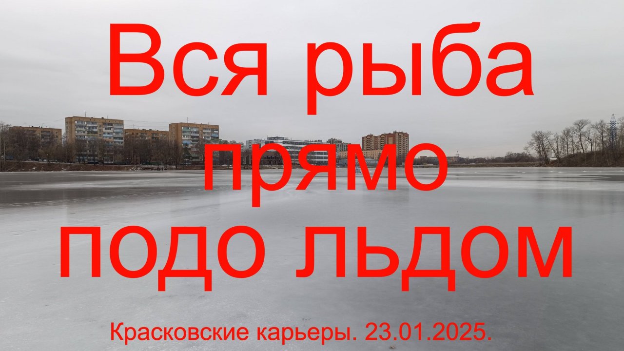 Вся рыба  прямо подо льдом. Красковские карьеры. 23.01.2025.