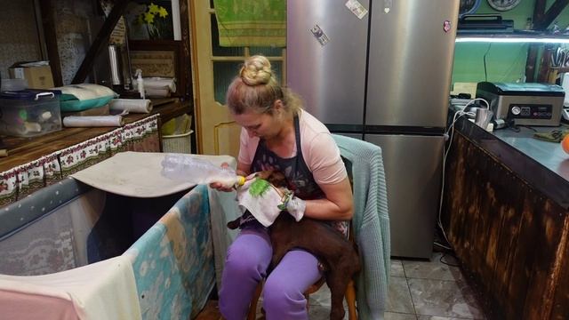 ВЫЛИВАЛА В ПОМОЙКУ ПОКА НЕ ПРИДУМАЛА РЕЦЕПТ ДЕСЕРТНОГО МЯГКОГО СЫРА ИЗ РИКОТТЫ И СЛИВОК🧀✔️