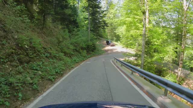 Из Видлисбаха в Бассекур, 25% спуск, через горный перевал Бальмберг, в Швейцарии! 4K 60fps UHD🇨🇭