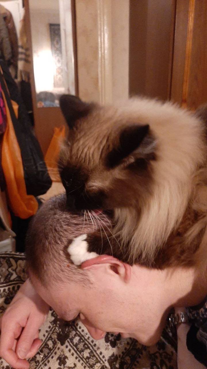 НАПАДЕНИЕ ХИЩНОГО ЗВЕРЯ (из серии "НАШ ЗООПАРК")