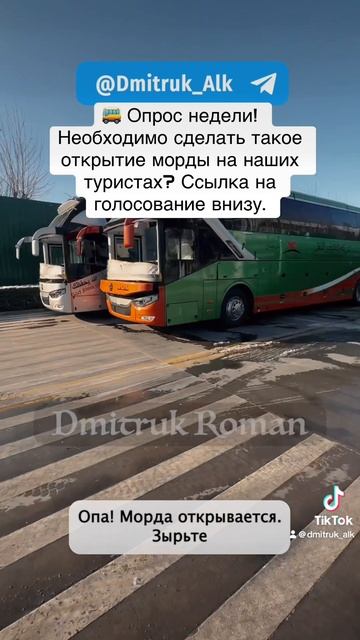 🚌 Опрос недели! 
Необходимо сделать такое открытие морды на наших туристах? Ссылка на голосовании!