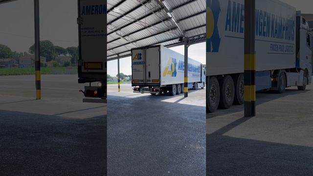 Как отправляем рассаду в РФ и не только