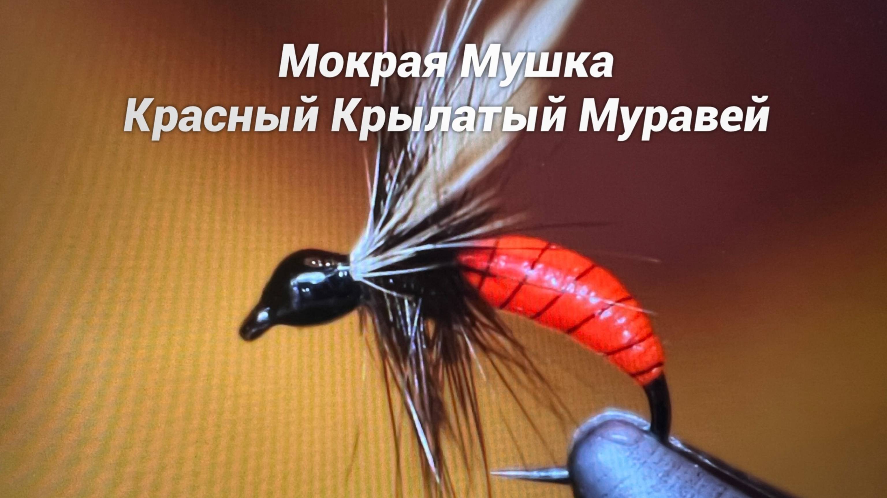 Мокрая Мушка Красный Крылатый Муравей Как связать с GM FLY