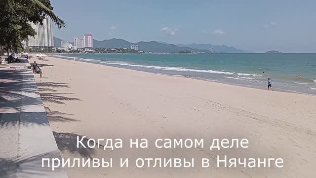 Приливы и отливы в Нячанге – это важно знать‼️