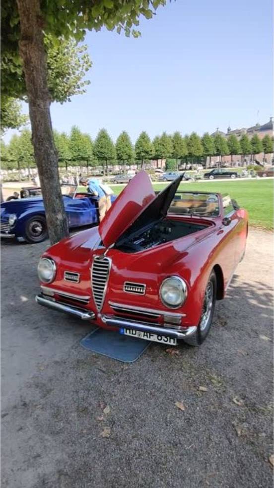 Alfa Romeo