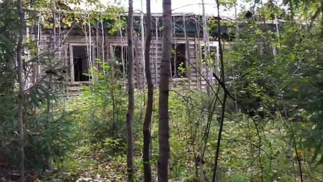 А это был больничный городок... д. Кривячка.