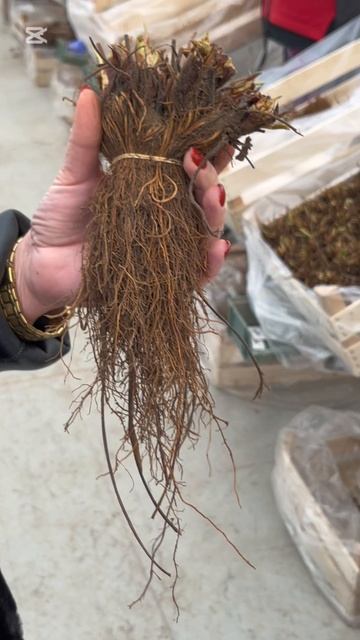 категория А