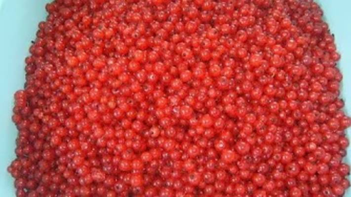 Ликёр и наливка из красной смородины. Маринкины творинки