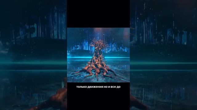 Танцгруппа из Ливана "Майс"