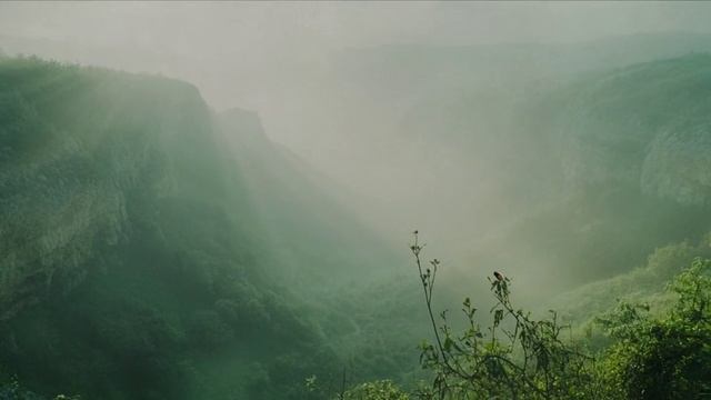 Хорошо в деревне летом