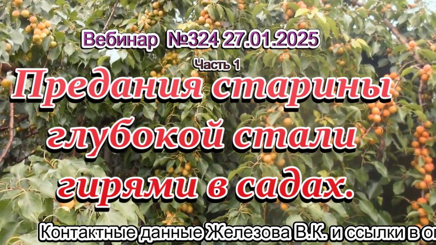 Железов Валерий. Вебинар 324. ч.1. Предания старины глубокой стали гирями в садах.