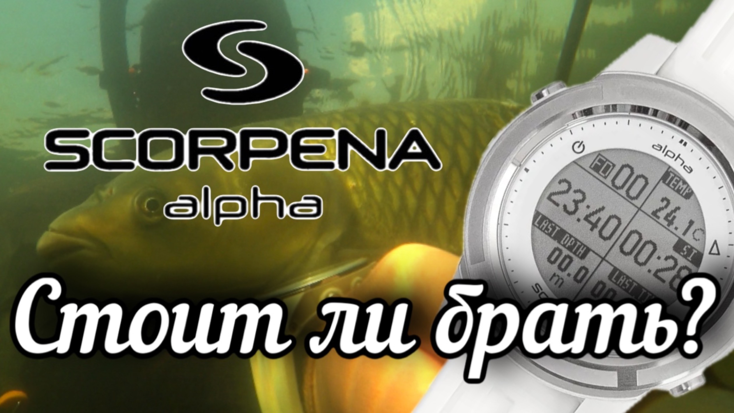 Честный отзыв об использовании подводного компьютера scorpena alpha. Брать или не брать?