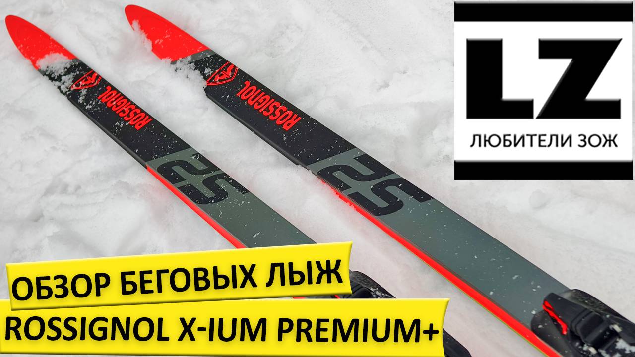Обзор беговых лыж Rossignol X-IUM Premium+