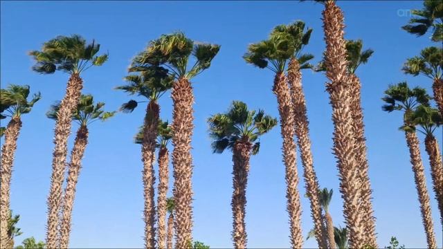 LOTUS BAY BEACH RESOR 4* (Египет, Хургада. Сафага) | 316000.ru - лучшие цены!