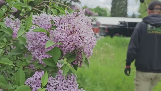 qc_  OVERGROWN Lot Before The Neighbors Смотрим как другие работают