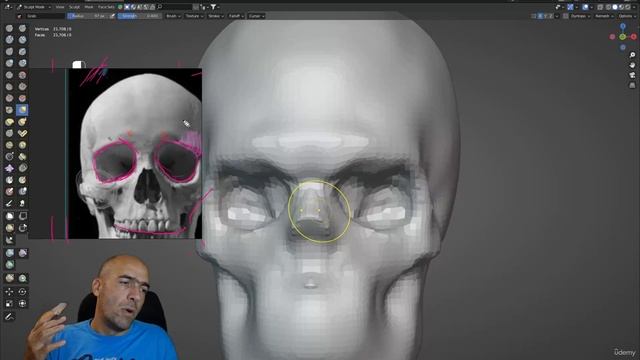 3. Making the planes of the skull