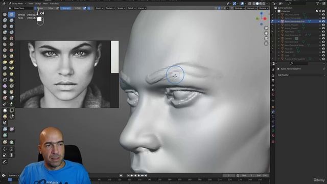 13. Differences between female and male head