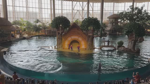 Абу-Даби 🇦🇪 [4К] Океанариум, огромный комплекс, можно смело провести целый день .