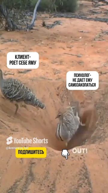 Узнали себя_ Подписывайтесь🌸 #психология #уверенностьвсебе #саморазвитие #самооценка #терапия